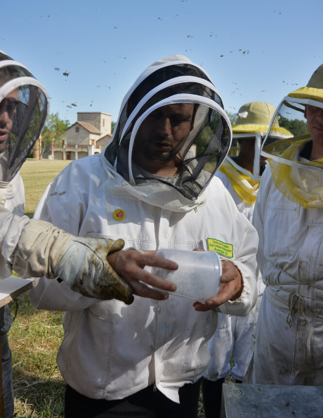 Formation perfectionnement en apiculture