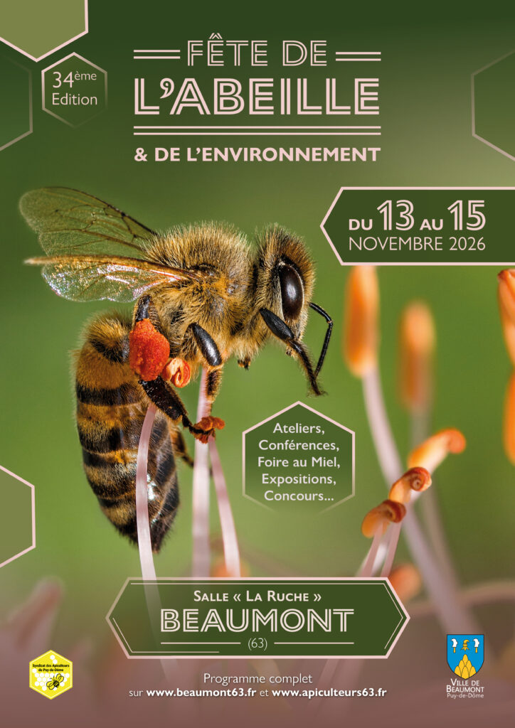 Affiche A3 1