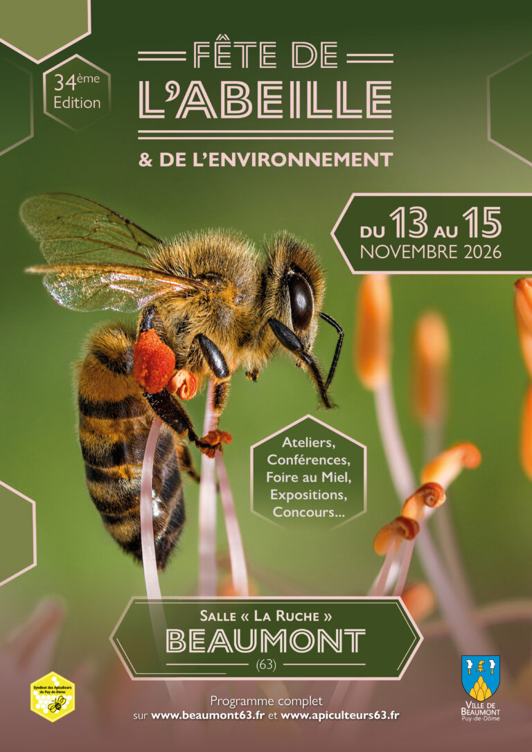 Affiche A3 1